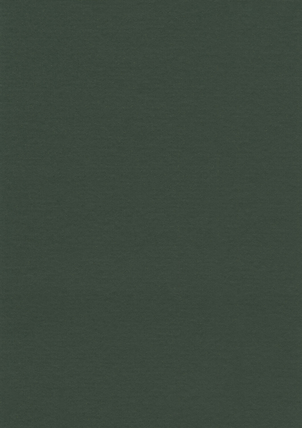 0043 LIGHT MUD